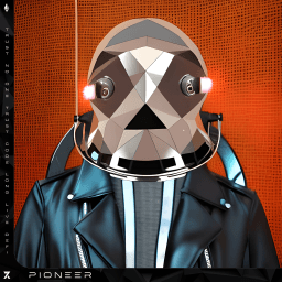 random pioneer image